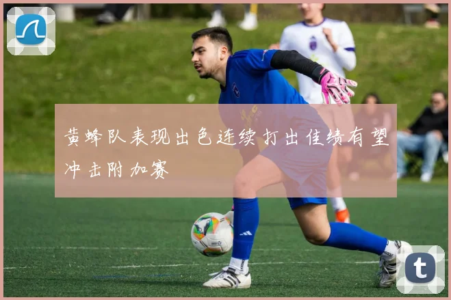 黄蜂队表现出色连续打出佳绩有望冲击附加赛