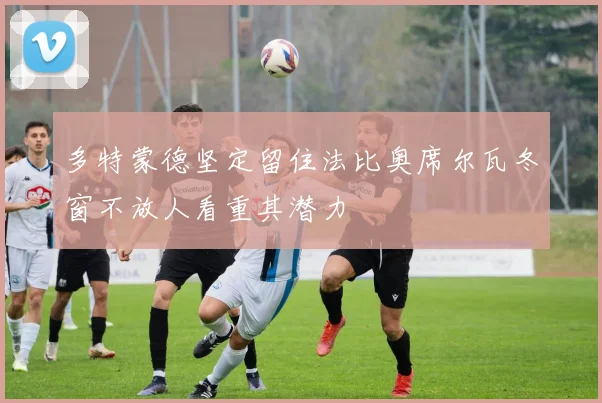 多特蒙德坚定留住法比奥席尔瓦冬窗不放人看重其潜力